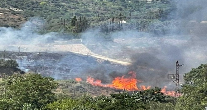 Bahçe yangını korkuttu