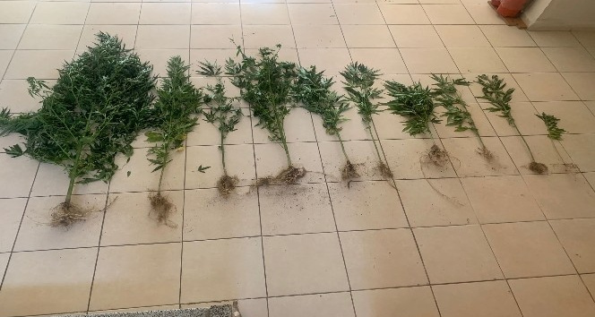 Hatay’da uyuşturucu operasyonu