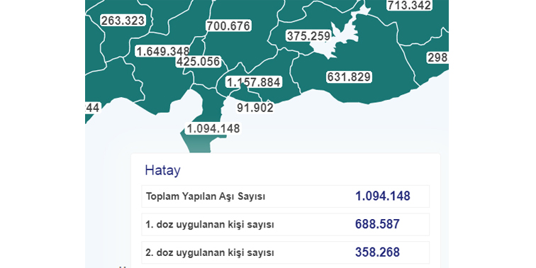 aşı internet
