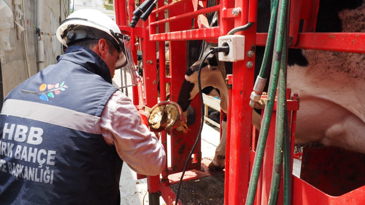 HBB HATAYLI  ÜRETİCİNİN YANINDA