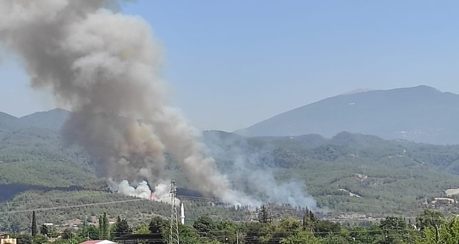 Dörtyol’da orman yangını