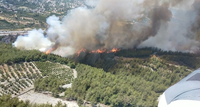 Hatay’da orman yangınına müdahale ediliyor