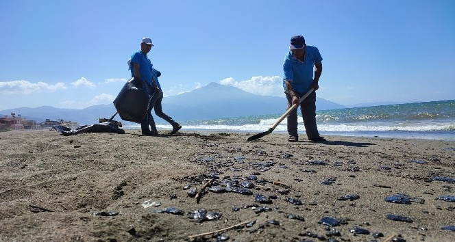 Samandağ sahilinde petrol atıkları temizleniyor