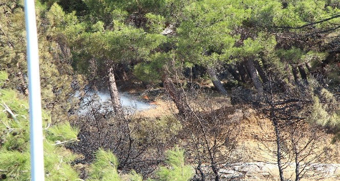 Hatay’da çıkan orman yangını kontrol altına alındı