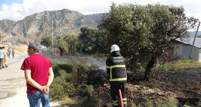 Hatay’da bahçe yangını korkuttu