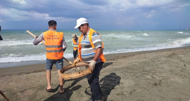 Hatay Sahilinde Petrol  Atıkları Elekle Temizleniyor