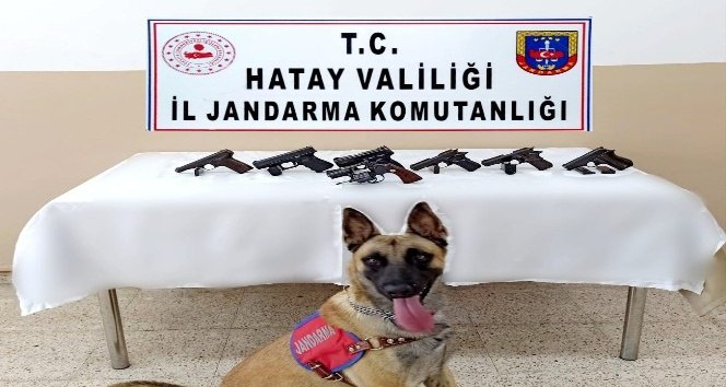 Hatay’da silah kaçakçılığı