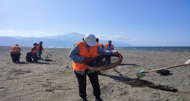 Hatay’da sahillerden günde  1 ton petrol atığı temizleniyor