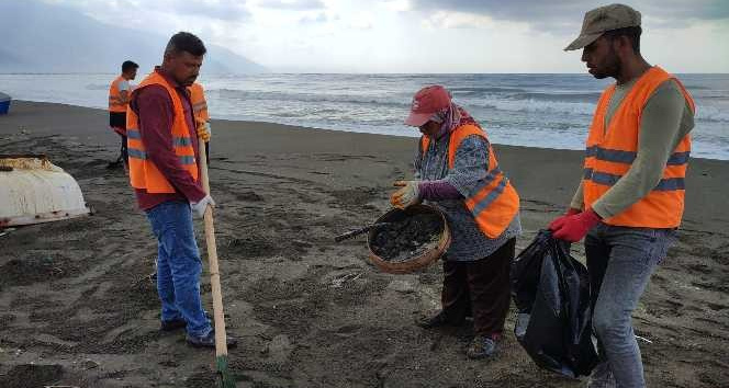 Samandağ’da petrol temizlik çalışmaları devam ediyor