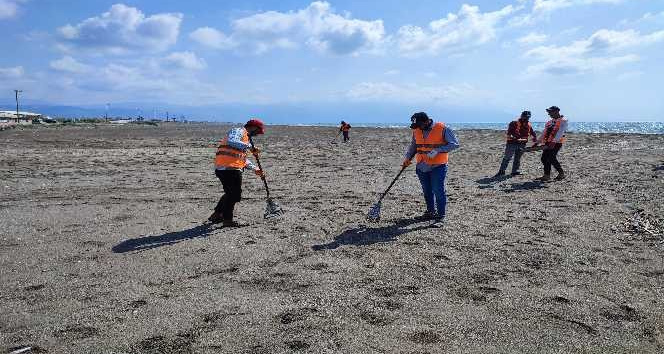 Samandağ sahilinde petrol temizliği 26 gündür sürüyor