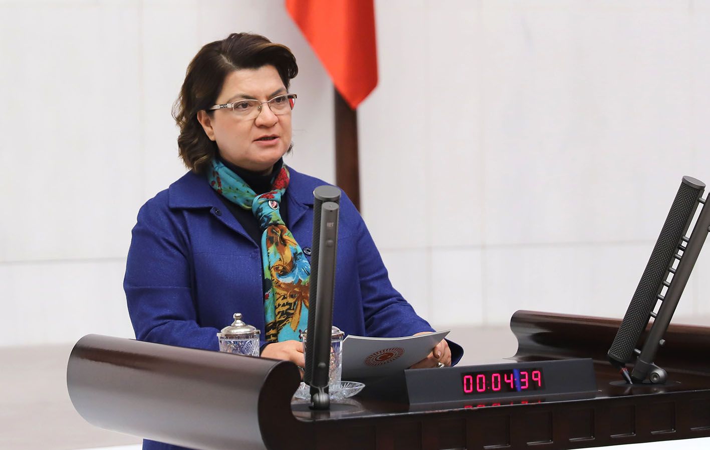 DÖRTYOL’DA KURULMAK İSTENEN ALÇI VE GRAFİT OCAĞI MECLİS GÜNDEMİNDE