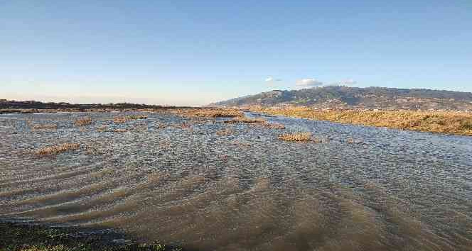 Milleyha Kuş Cenneti yağış sonrası göletler ile doldu