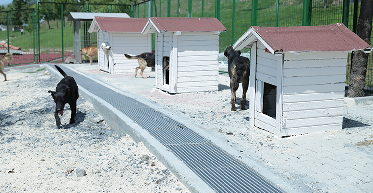 KIRIKHAN BELEDİYESİ HAYVAN BARINAĞI  İÇİN START VERDİ