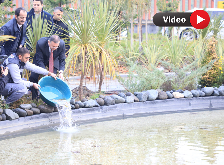 LÜTFÜ SAVAŞ  ”KÜRESEL İKLİM KRİZİNE DİKKAT ÇEKMEK İSTEDİK