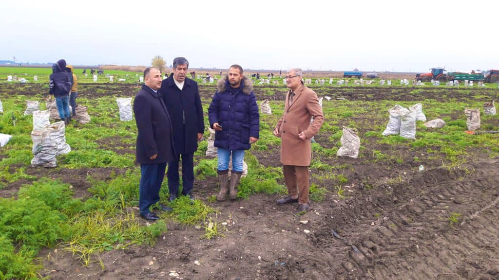 KIRIKHAN’DA HAVUÇ HASADI BAŞLADI