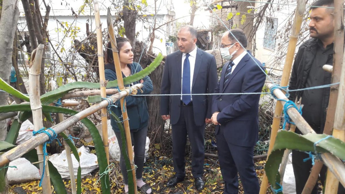 Tropikal meyve yetiştiriciliği artıyor