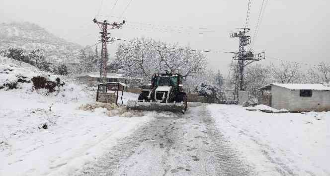 Kar yağışı nedeniyle ahır çöktü, 10 hayvan telef oldu