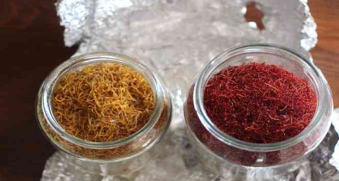 1 dönümden 1 kilo çıkıyor, kilosunu 90 bin liraya satıyor