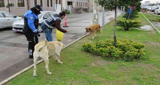 Polisten sokak hayvanlarına mama ve su desteği