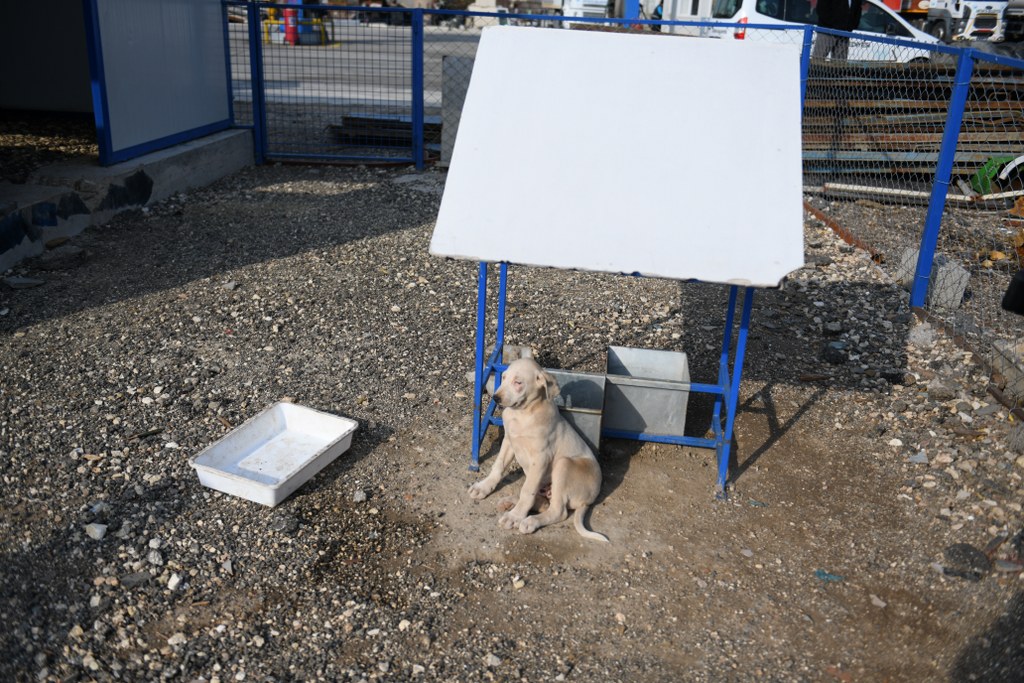 ANTAKYA BELEDİYESİ “DÜNYA  SADECE BİZİM DEĞİL”