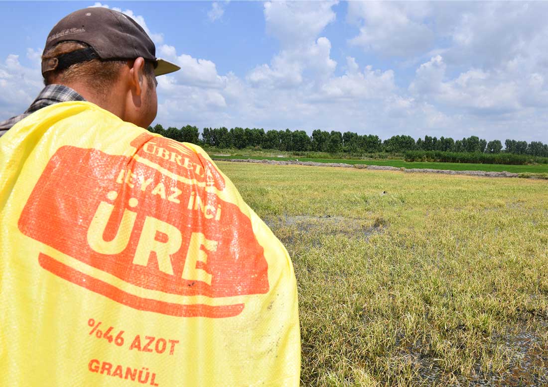 Tarım Kredi’den gübre fiyatlarına yüzde 30’a varan indirim