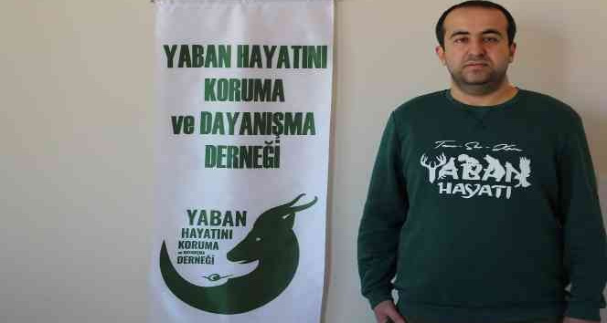 Av yasağı başladı