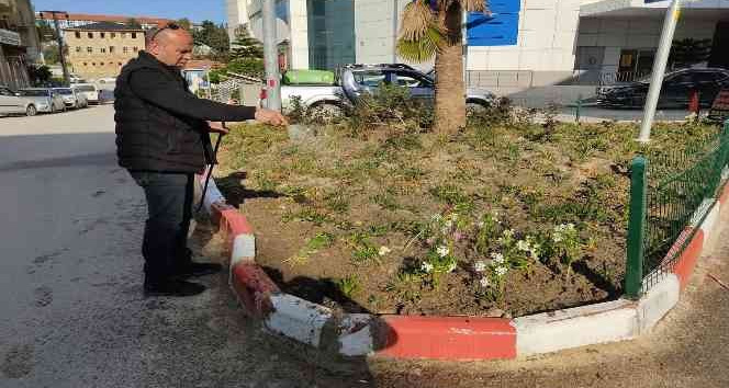 Samandağ’da çevre düzenlemesi çalışmaları