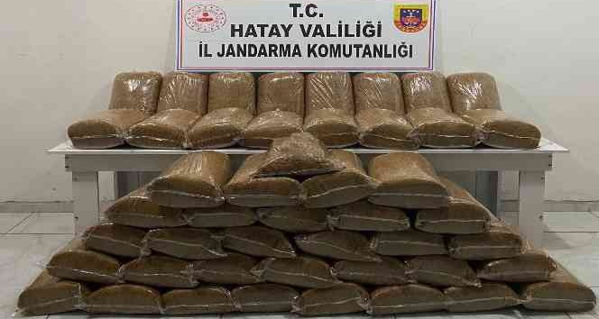 Hassa’da 230 kilogram kaçak tütün ele geçirildi