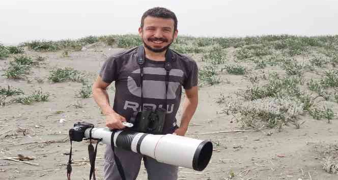 Çöl kulaklı toygarı kuşu Türkiye’de ilk kez Hatay’da gözlemlendi