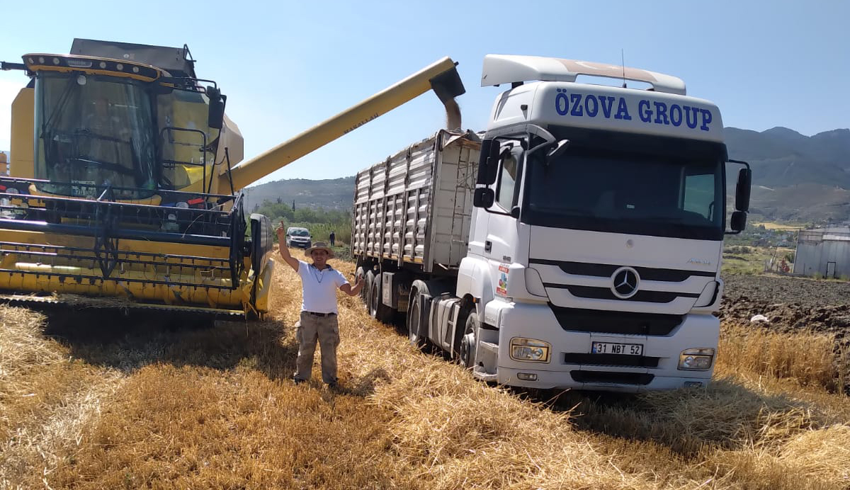 BUĞDAY HASADINDA  ÖZOVA GELENEĞİ 36 YILDIR BOZULMUYOR            