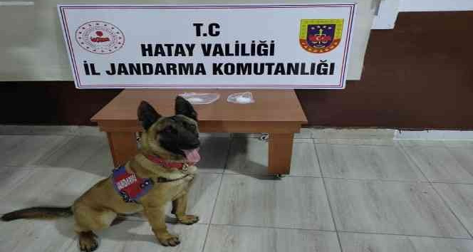 Kırıkhan’da uyuşturucu operasyonu: 5 gözaltı