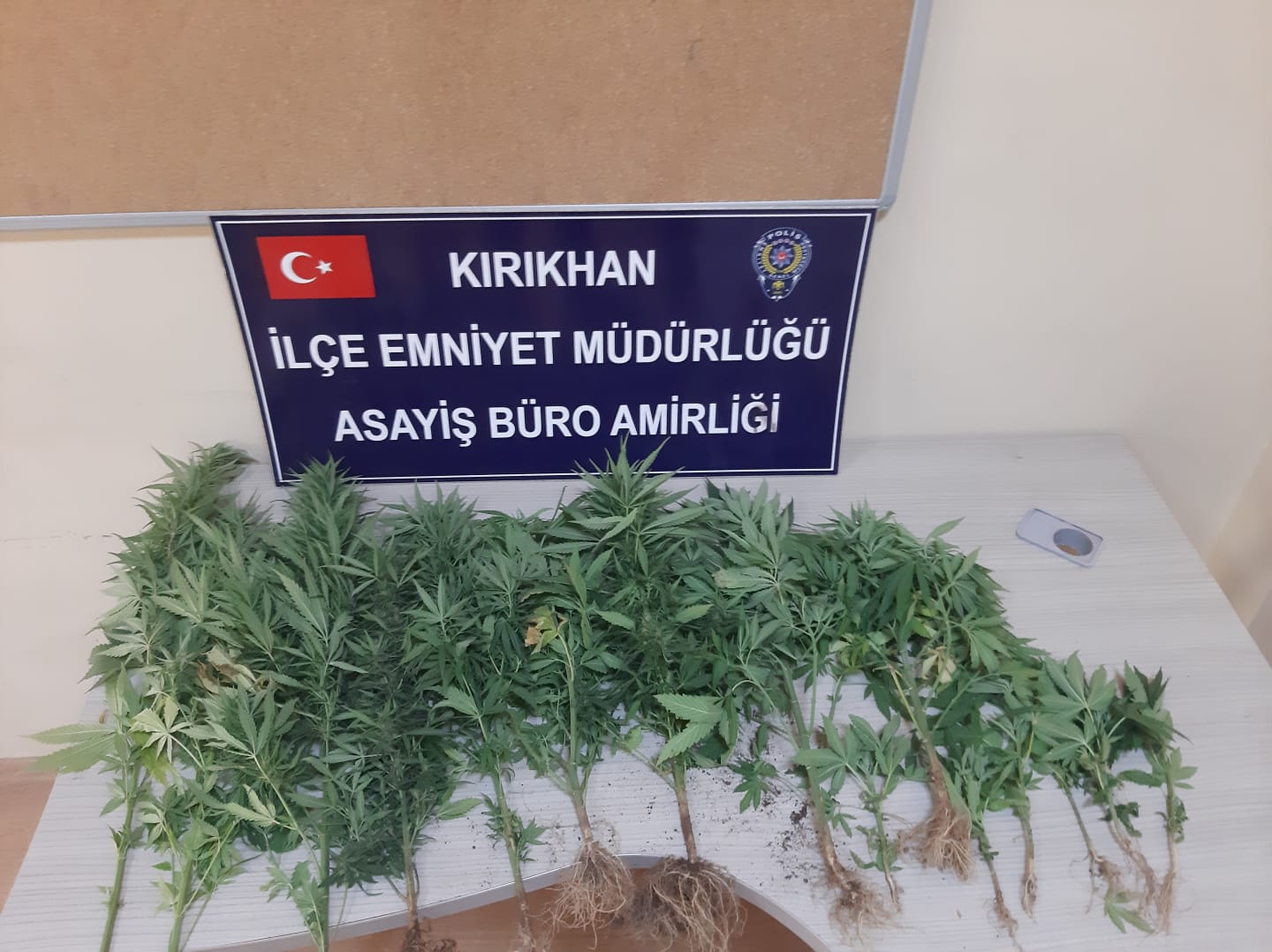 KIRIKHAN’DA HİNT KENEVİRİ OPERASYONU