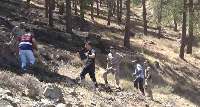 Kırıkhan’daki orman yangınıyla ilgili 1 şüpheli gözaltına alındı