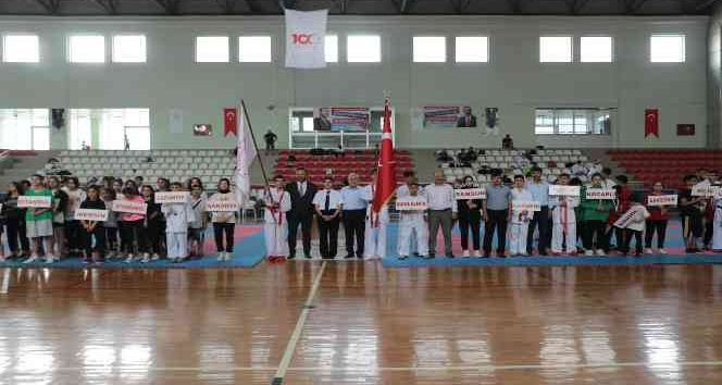 Anadolu Yıldızları Ligi karate finalleri İskenderun’da başladı