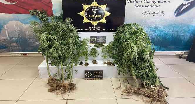 Defne’de uyuşturucu operasyonu