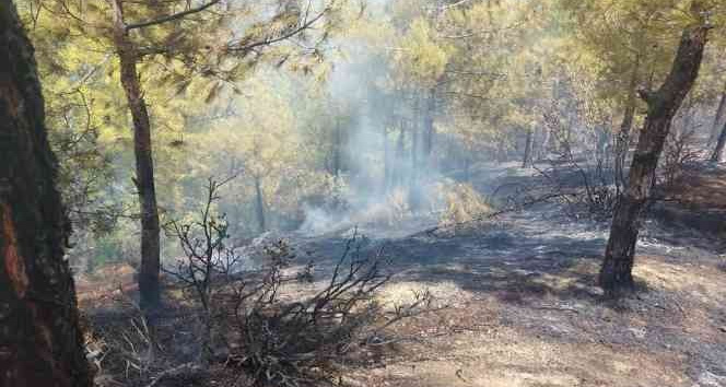 Hassa’da çıkan orman yangınına müdahale ediliyor