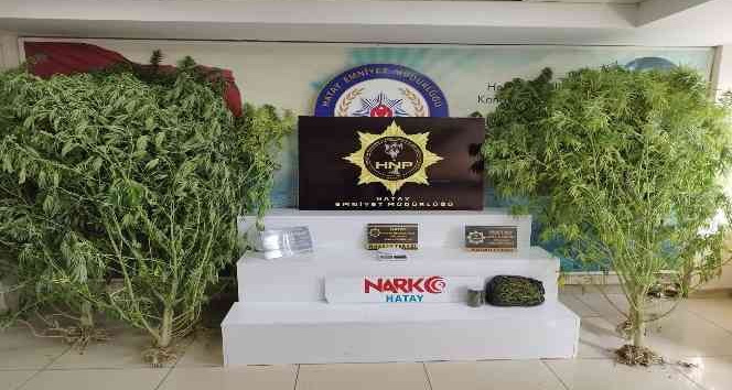 Hatay’da uyuşturucu operasyonu: 2 gözaltı