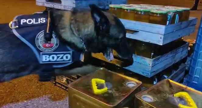 Arı kovanı içerisinden 2 kilo 500 gram metamfetamin çıktı