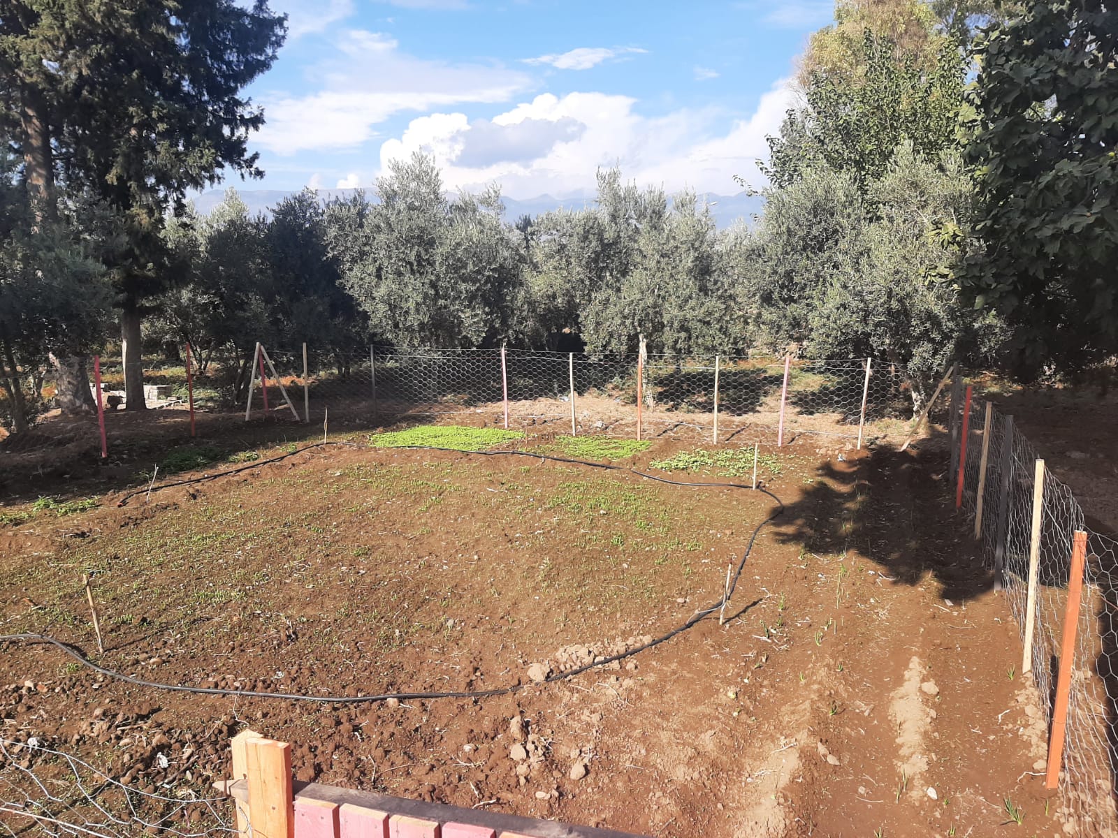 SEVGİ TOHUMLARINI TOPRAKLA BULUŞTURDULAR