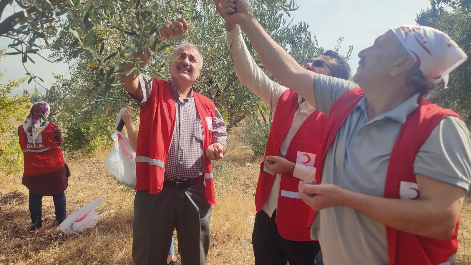 WhatsApp Image 2022-10-16 at 22.38.28