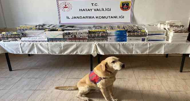 Hatay’da 11 bin 140 paket kaçak sigara ele geçirildi