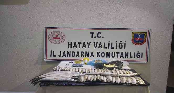 Yasa dışı balık avlayan 3 kişiye 44 bin 580 lira ceza