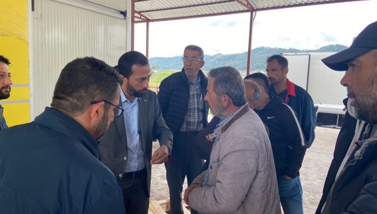 HATAYLI ÇİLEK ÜRETİCİLERİ YARDIM BEKLİYOR