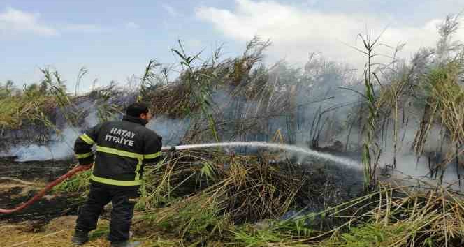 Sazlık alanda çıkan yangın söndürüldü