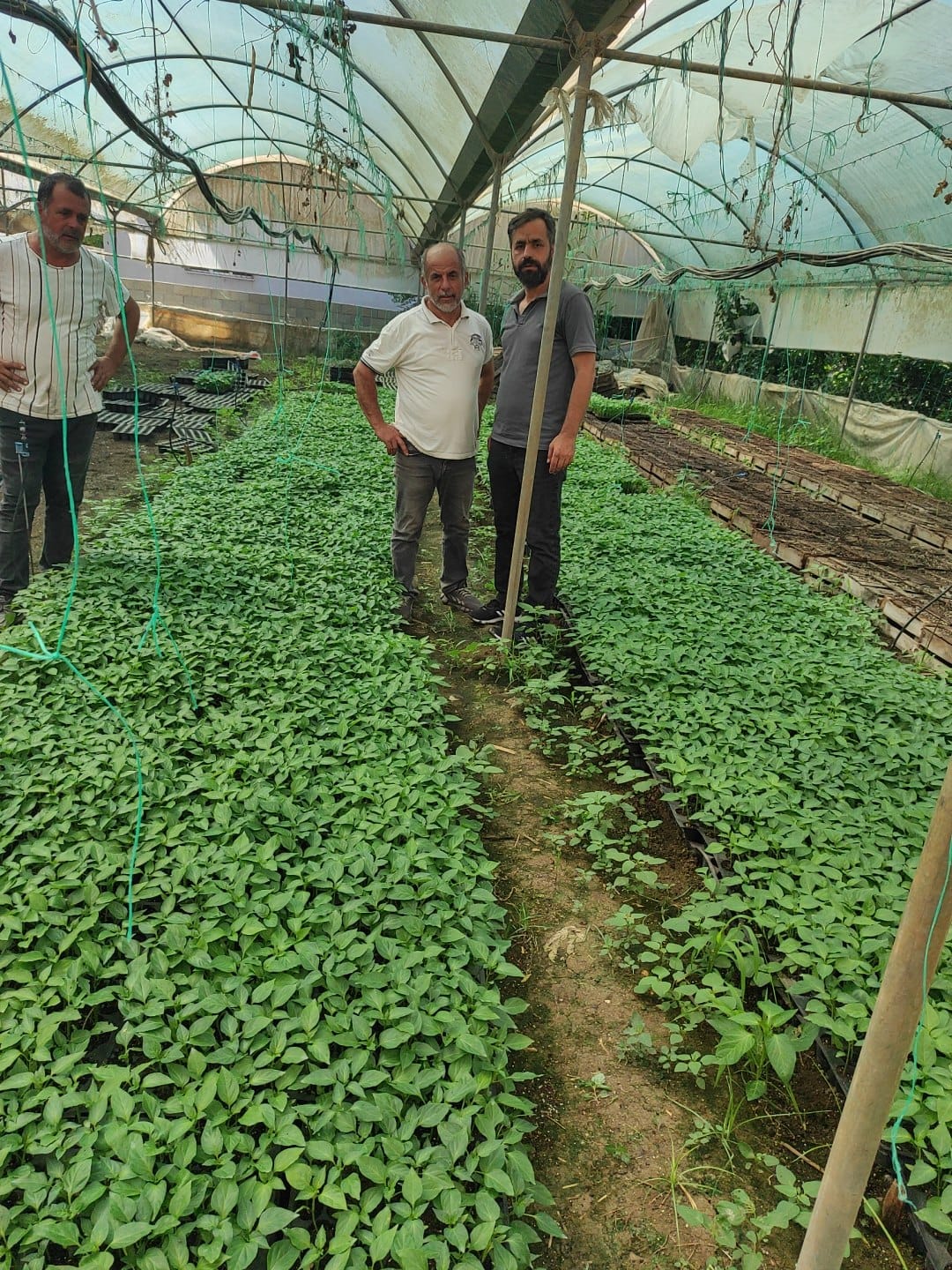 SAMANDAĞ TARIMSAL KALKINMA KOOPERATİFİ’NDEN ÇİFTÇİLERE FİDE VE GÜBRE DESTEĞİ