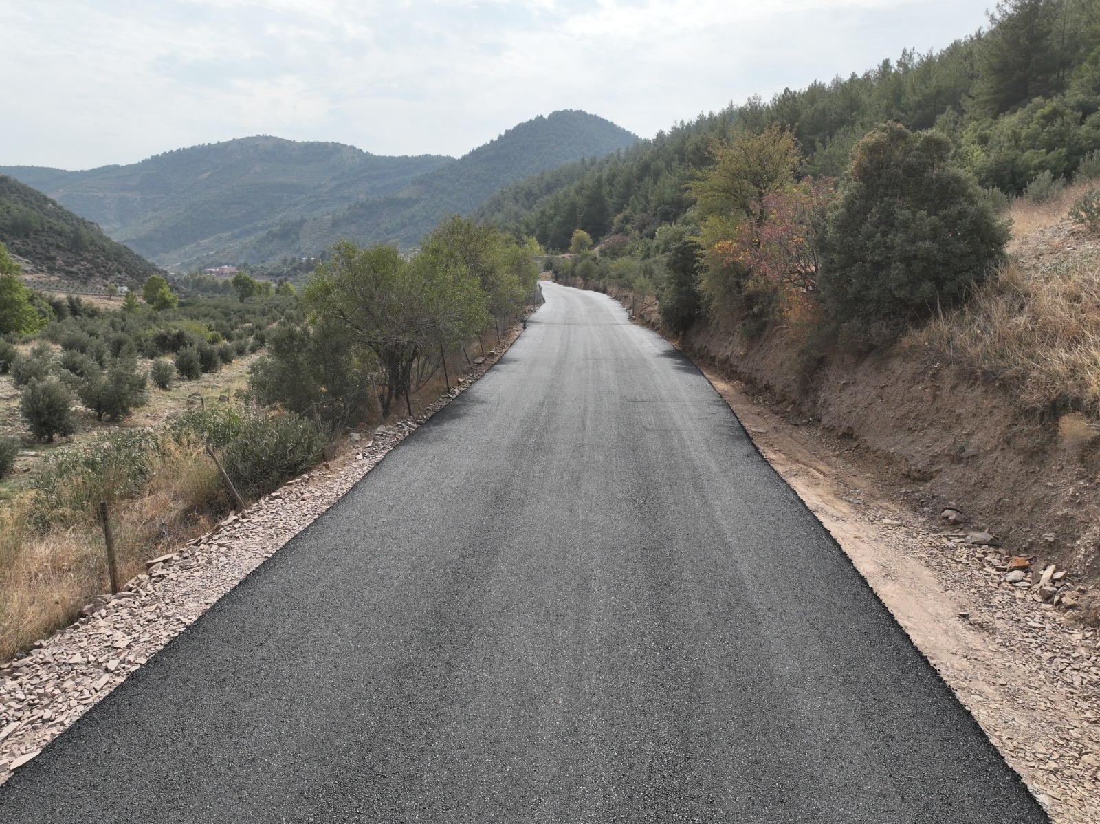 ÇARDAK YAYLASI, YOLUYLA MODERN GÖRÜNÜME KAVUŞTU