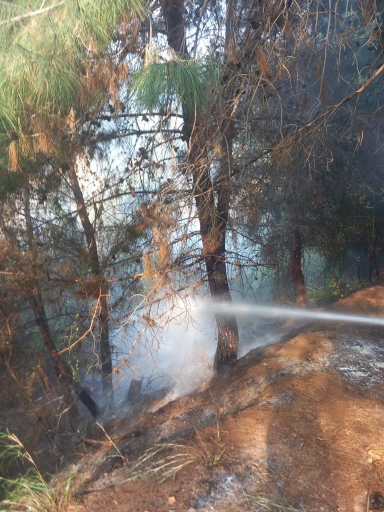 Belen’de çıkan orman yangını itfaiye ekibi tarafından söndürüldü