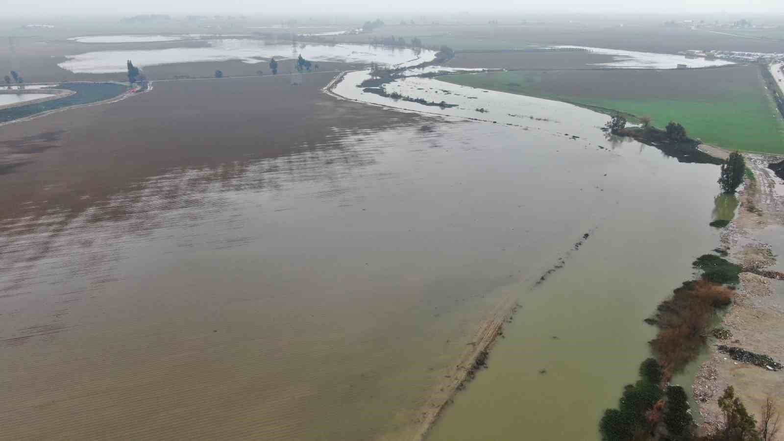 Aşırı yağışla birlikte taşan Asi Nehri tarım arazilerini su altında bıraktı