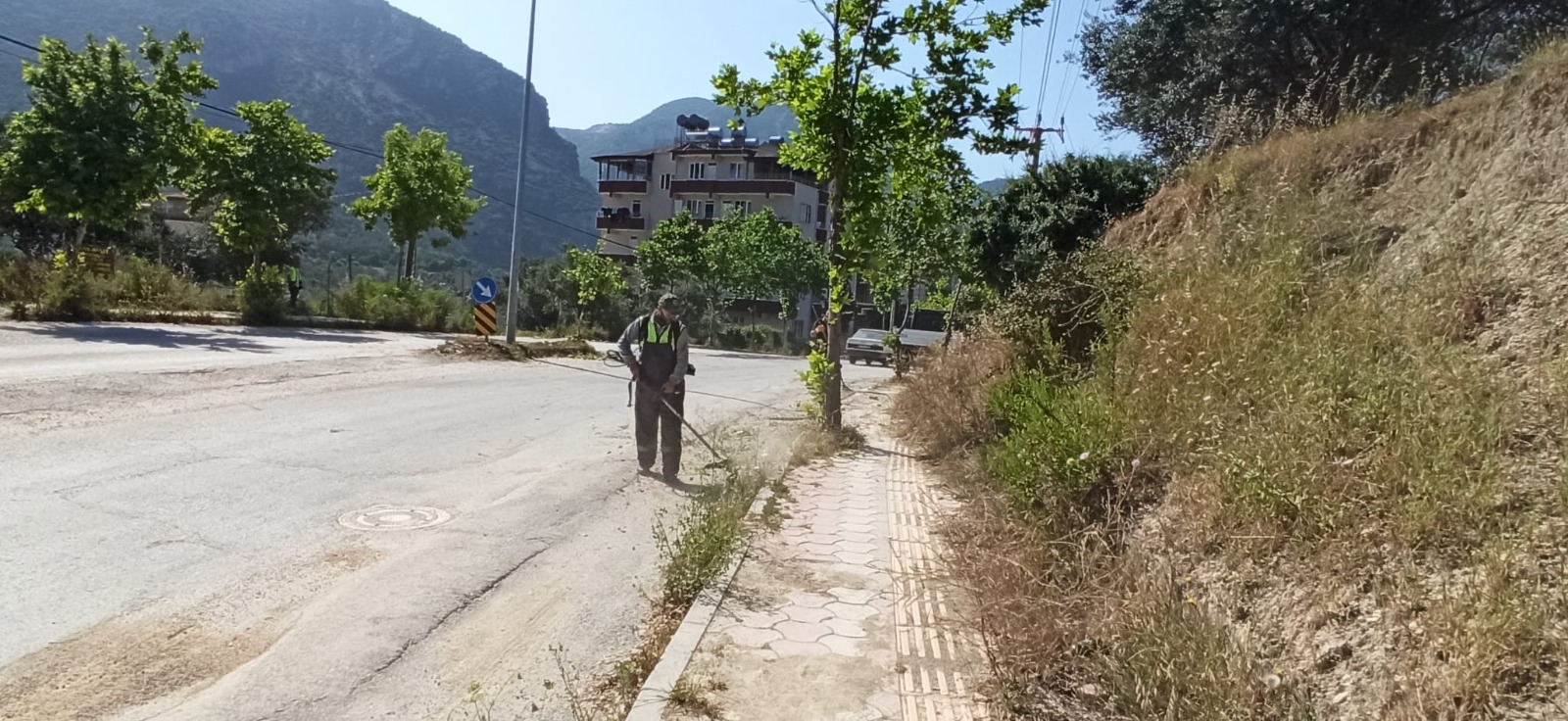 WhatsApp Image 2024-05-22 at 16.07.24