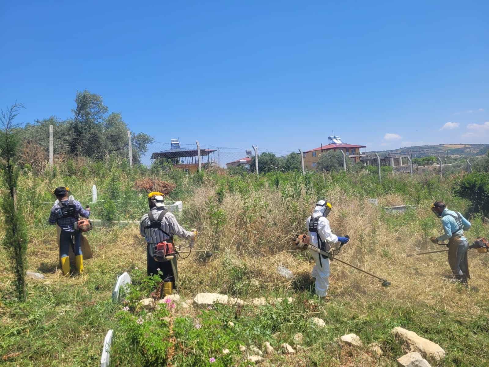 WhatsApp Image 2024-05-31 at 10.38.12